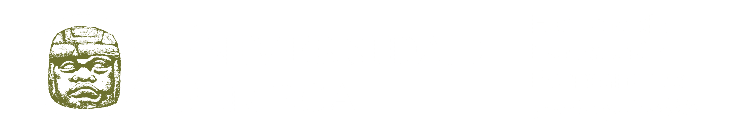 Universidad Olmeca